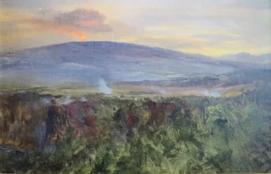 Eruzione del Kilauea